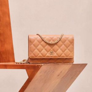 CHANEL Woc Bag