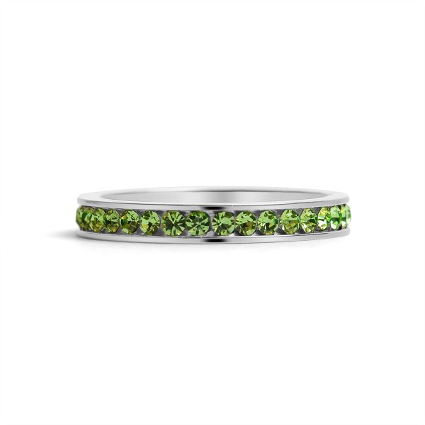 ETR0001-BirthstoneEternityCZStainlessSteelRing_11_Front2.jpg