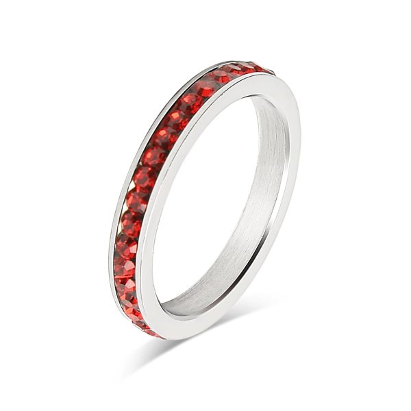 ETR0001-BirthstoneEternityCZStainlessSteelRing_13.jpg