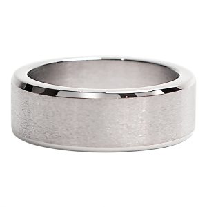 Stainless Steel Brushed Center Ring / NCZ0149
