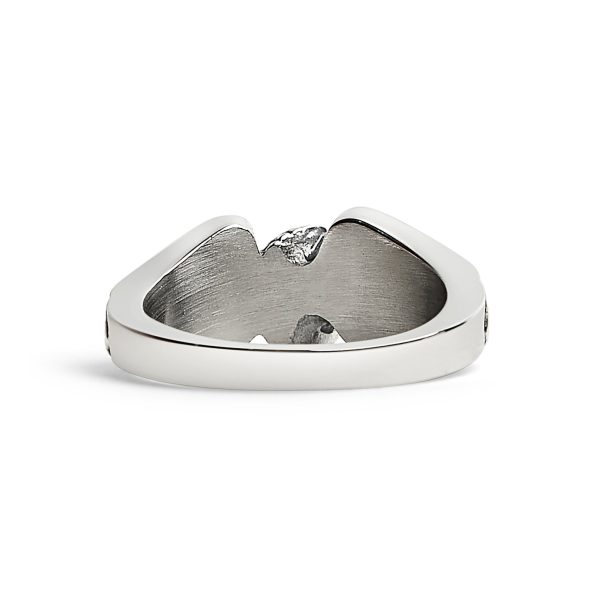 SCR0238-PolishedWingsWheelStainlessSteelRing-Back_560370f8-9808-4f16-b92a-6e3f0eecb5f8.jpg