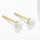 XP-Alloy-Imitation-Pearl-Round-Minimalist-Stud-Earring-4.jpg