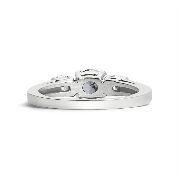 ZRJ4138-StainlessSteelBirthstoneWithCZAccentStonesPolishedRing_10_Back.jpg