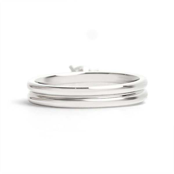 ZRJ4141-PolishedStainlessSteelDoubleCZRing_Back.jpg