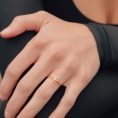 ZRJ9021Initialring.jpg