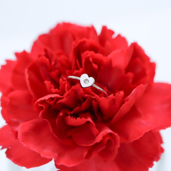 heartsymbolring2.jpg