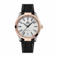 omega-seamaster-aqua-terra-gold-steel-220-22-41-21-02-001.jpg