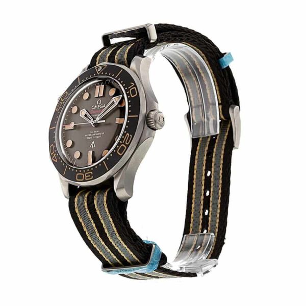 omega-seamaster-co-axial-master-steel.jpg