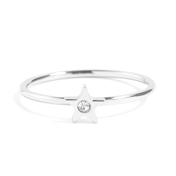 zrj0003silver.jpg