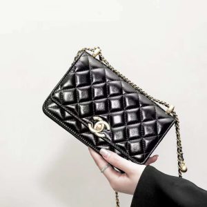 CHANEL classics WOC Double ball BAG