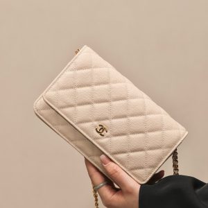 CHANEL classics woc flap bag
