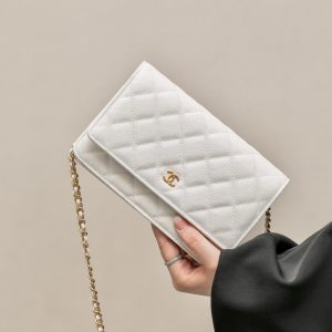 CHANEL classics woc flap bag