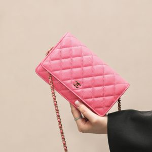 CHANEL classics woc flap bag