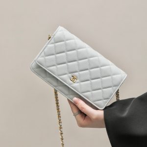 CHANEL classics woc flap bag