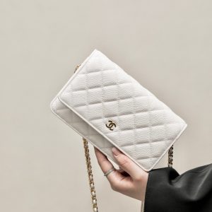 CHANEL classics woc flap bag