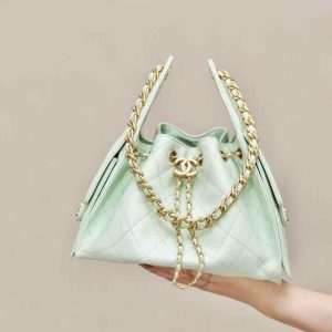 CHANEL 25 Small Handbag