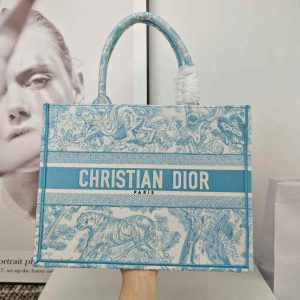 Dior Book Tote