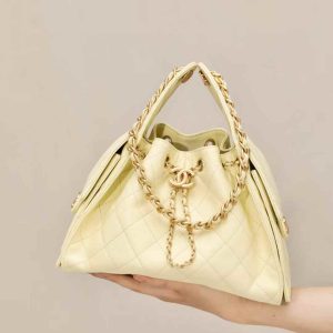 CHANEL 25 Small Handbag
