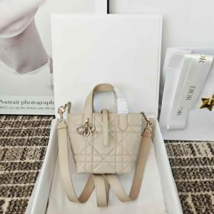 Dior Toujours Vertical Nano Tote Bag