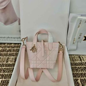 Dior Toujours Vertical Nano Tote Bag